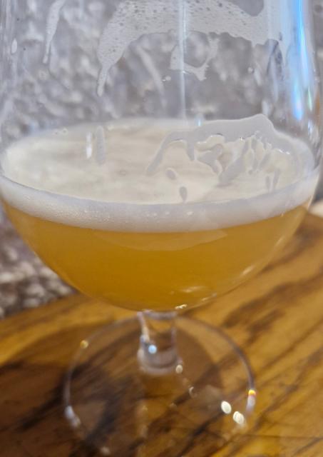 goa, Dubrovnik Beer Company