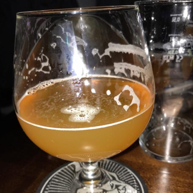 Golden Bikini 5.9%, Kimito Brewing, Finland