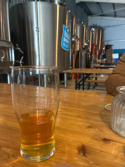 Golden Doodle, Hairy Dog Brewery