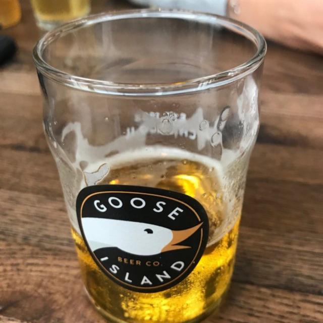 Golden Goose Pilsner 4.1%, Goose Island Beer Company (AB-InBev), United States