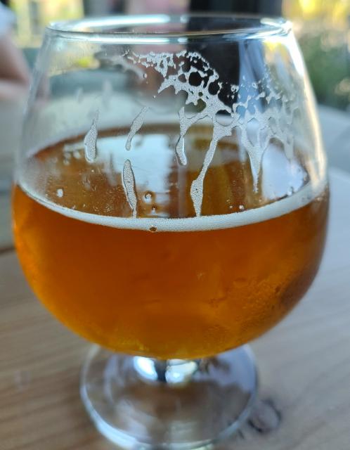Golden Hour, Revystoked Brewing