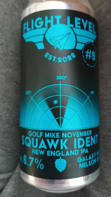 golf mike november squawk ident, Flight Level Brewing
