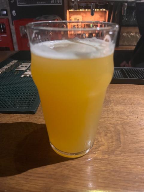 Goosee Terror 12 Gose 5.0%, Pivovar Čestmír, Czech Republic