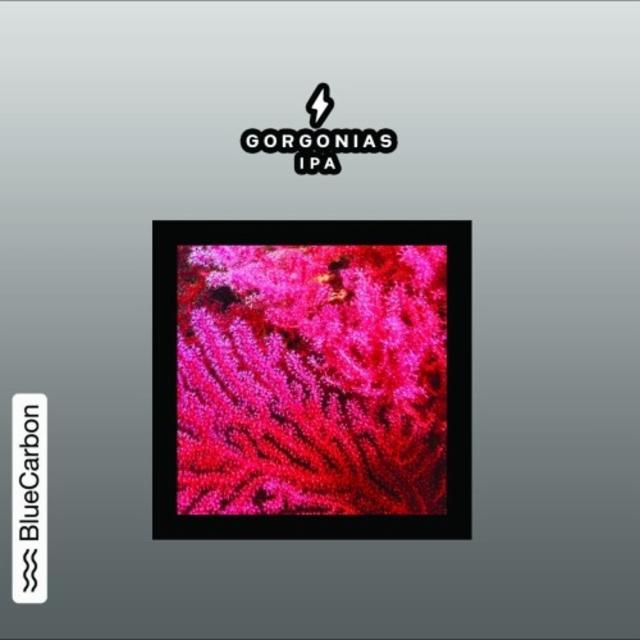 Gorgonias, Garage Beer Co.