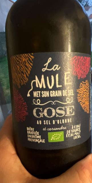 Gose 5.5%, La Vieille Mule, France