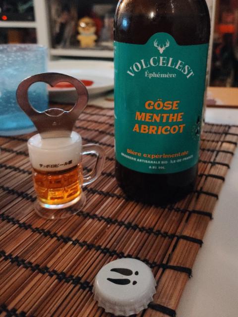 Gose Mint apricot 6.5%, Brasserie Volcelest, France