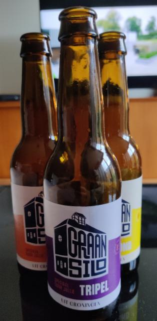 Graansilo Tripel, Graansilo