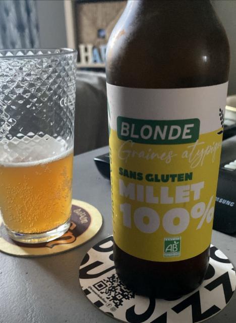 Graines atypiques 100% Millet 4.8%, Brasserie Dulion, France