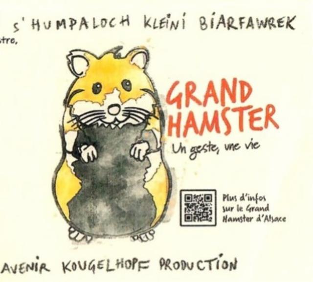 Grand Hamster 5.0%, S'Humpaloch, France