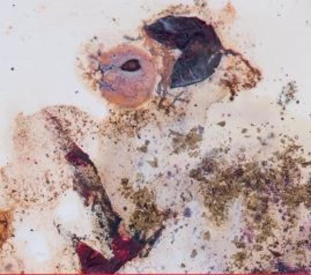 Grappe Blancs 2023 7.0%, Brasserie La Malpolon, France