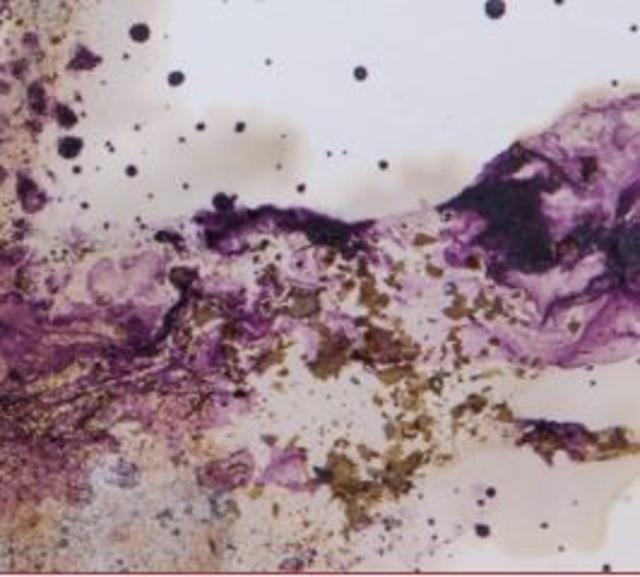 Grappe Rouges 2022 7.0%, Brasserie La Malpolon, France