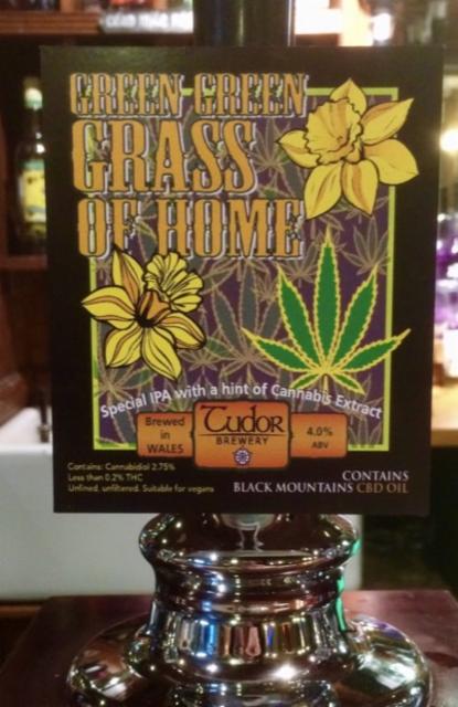 Green Green Grass Of Home 4.0%, Tudor Brewery, Wales