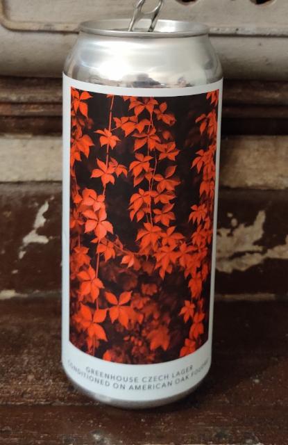 Greenhouse Czech lager conditioned on American Oak Foudre 6.0%, Evil Twin Brewing NYC, United States