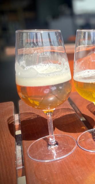 Grenzstein 7.0%, Bräugier Craftbier, Germany