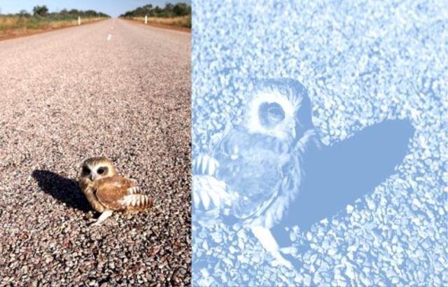 Grisette Elixir / Mistral 4.0%, Brasserie Popihn, France