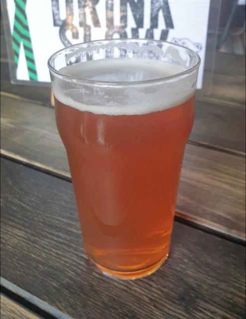 Grizzly Bear Cave Ale, Holy Cow Taphouse