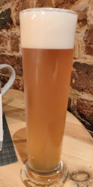 Gröninger Sommerbock 7.6%, Gröninger Privat-Brauerei, Germany