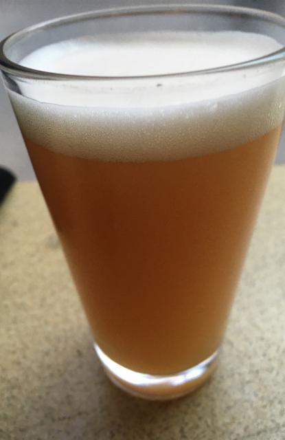 Guava, Lactose Berliner 5.0%, Ology Brewing Co, United States