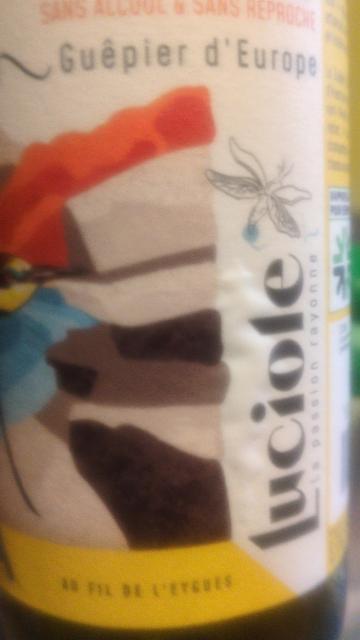 Guepier d'Europe 0.4%, La Brasserie Des Tilleuls - Bivouak, France