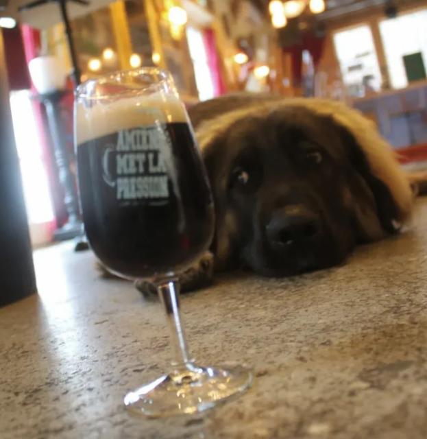 Guts 9.6%, Brewpub La Filature, France