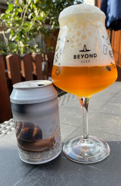 Hackengas 6.5%, Wittorfer Brauerei, Germany