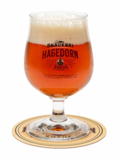 Hagedorn DIREKTOREN Lager 4.9%, Rhede, Germany