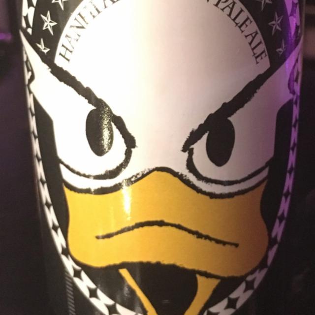 Hanhi American Pale Ale HAPA 5.5%, United Gypsies (UG) Brewery, Finland