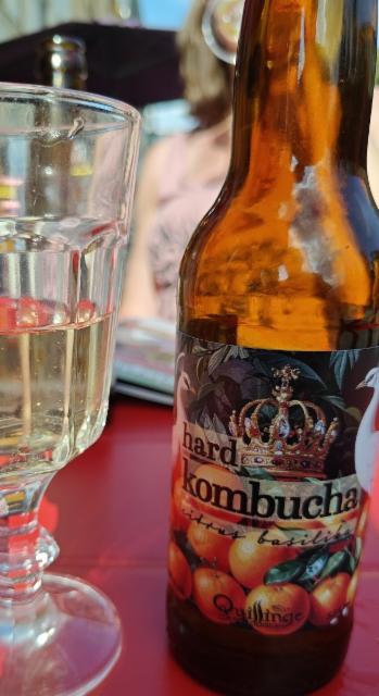 hard kombucha citrus basilika 5.5%, Qvillinge Ekologiska, Sweden