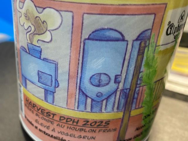Harvest DDH 5.5%, Brasserie St Alphonse (Saint-Alphonse), France