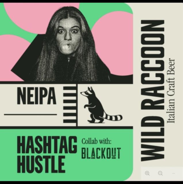 Hashtag hustle 6.5%, Birrificio Wild racoon, Italy