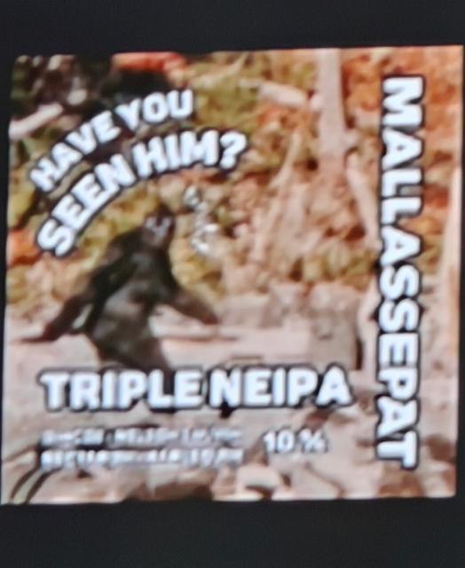 Have You Seen Him, Mallassepät