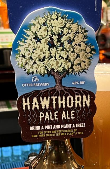 Hawthorn 4.0%, Otter, England