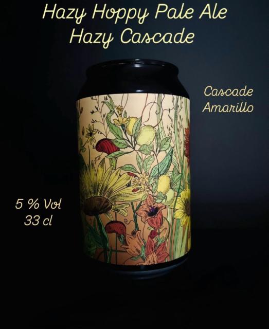 Hazy cascade 5.0%, Brew Yin, France