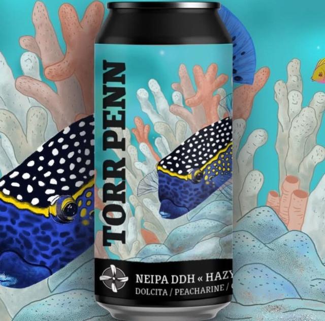 Hazy Coral, Brasserie Torr Penn