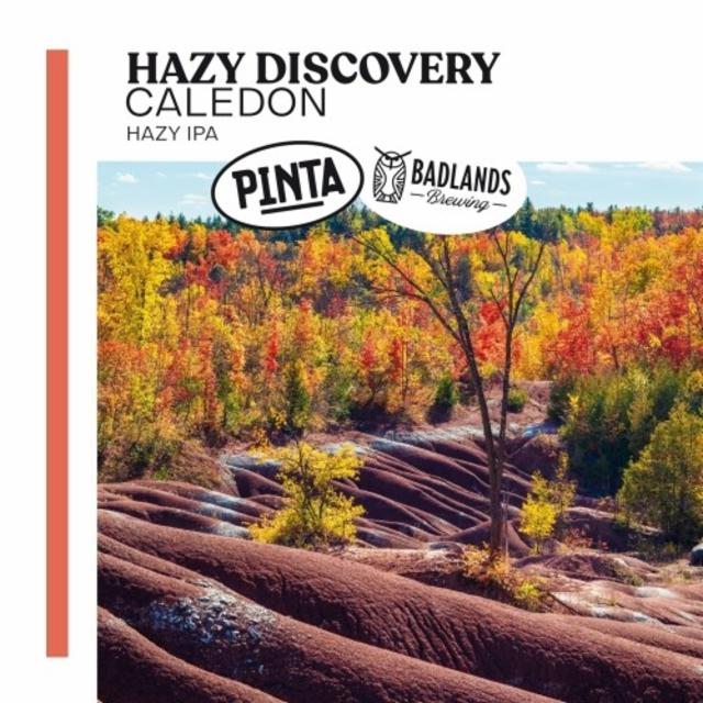 Hazy Discovery Caledon 6.5%, Browar PINTA, Poland