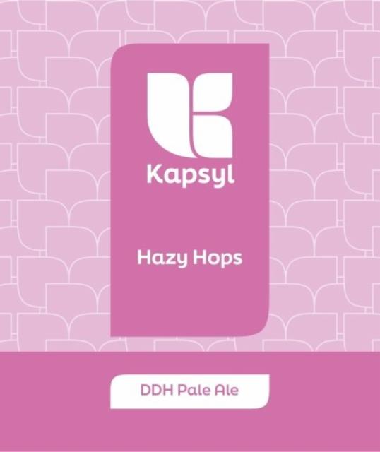 Hazy Hops 5.0%, Brasserie Kapsyl, France