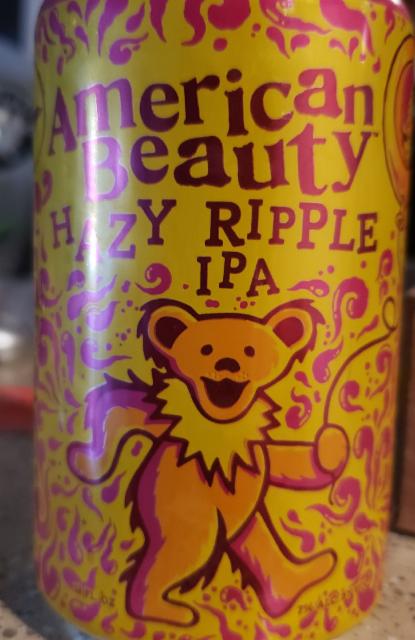 Hazy Ripple 7.0%, Dogfish Head Craft Brewery, United States