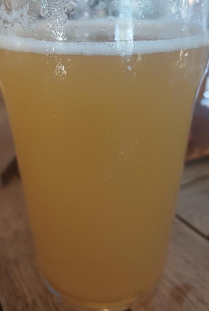 Hazy Striker 2026 6.0%, The Piggy Brewing Company, France