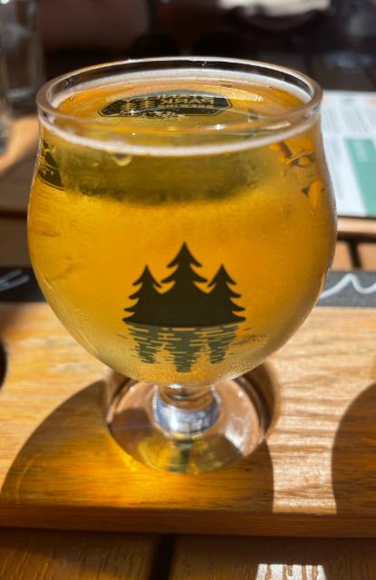 Heartwood Pseudo Lager 5.0%, Stanley Park Brewing (ABInBev), Canada