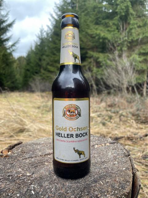 Heller Bock 7.7%, Brauerei Gold Ochsen, Germany