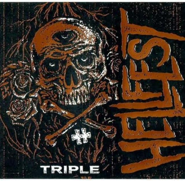 Hellfest Triple 7.9%, Brasserie Saint-Germain (Page 24), France