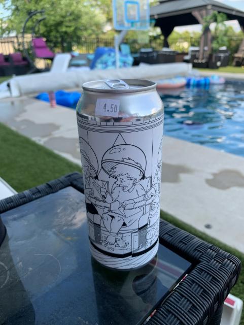 Helmet Head 6.5%, Space Cadet Brewery, United States