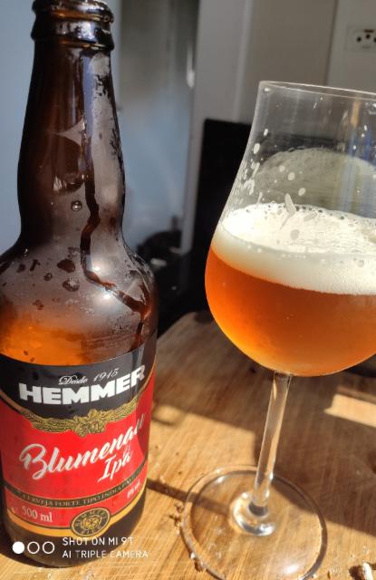 hemmer blumenau ipa 6.0%, Hemmer Cervejas Artesanais, Brazil