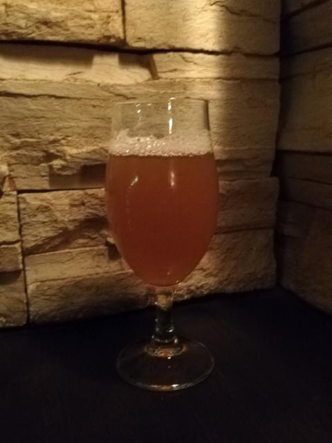 HogWild 6.7%, Aviator Brewing Company, United States