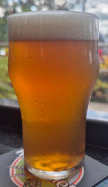 Holambier Double IPA 7.0%, Holambier, Brazil