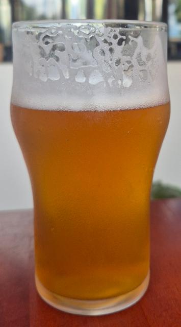 Holambier American IPA 5.8%, Holambier, Brazil