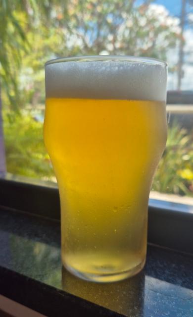 Holambier Session IPA 5.0%, Holambier, Brazil