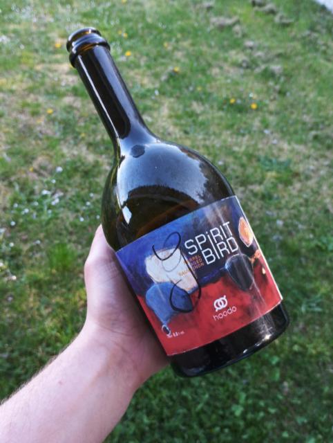 Spirit Bird 6.8%, Brasserie HooDo, France