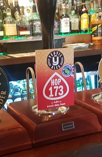 Hop 173 4.2%, Yeovil Ales, England