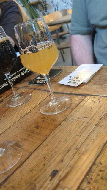 hop banger 7.0%, La Source Beer Co., Belgium